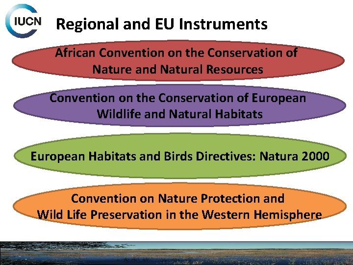 Regional and EU Instruments African Convention on the Conservation of Nature and Natural Resources