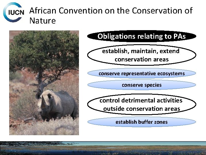 African Convention on the Conservation of Nature Obligations relating to PAs establish, maintain, extend