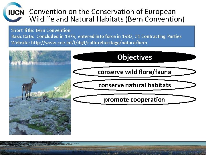 Convention on the Conservation of European Wildlife and Natural Habitats (Bern Convention) Short Title: