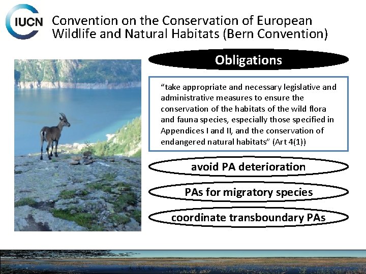 Convention on the Conservation of European Wildlife and Natural Habitats (Bern Convention) Obligations “take