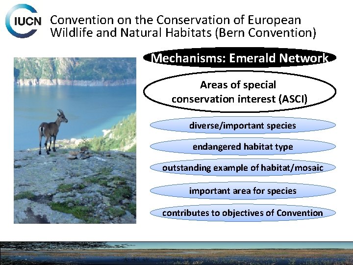 Convention on the Conservation of European Wildlife and Natural Habitats (Bern Convention) Mechanisms: Emerald