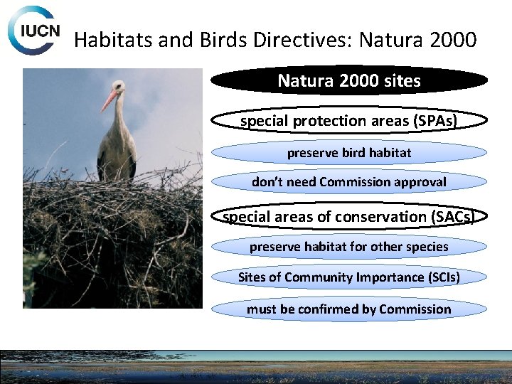 Habitats and Birds Directives: Natura 2000 sites special protection areas (SPAs) preserve bird habitat