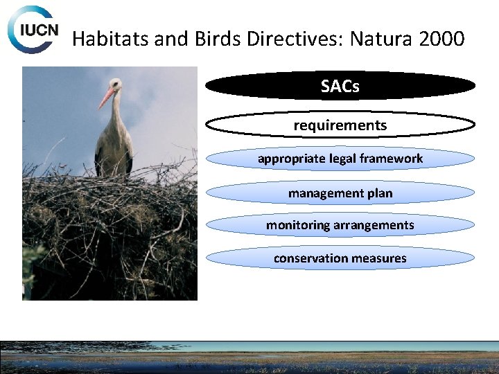 Habitats and Birds Directives: Natura 2000 SACs requirements appropriate legal framework management plan monitoring