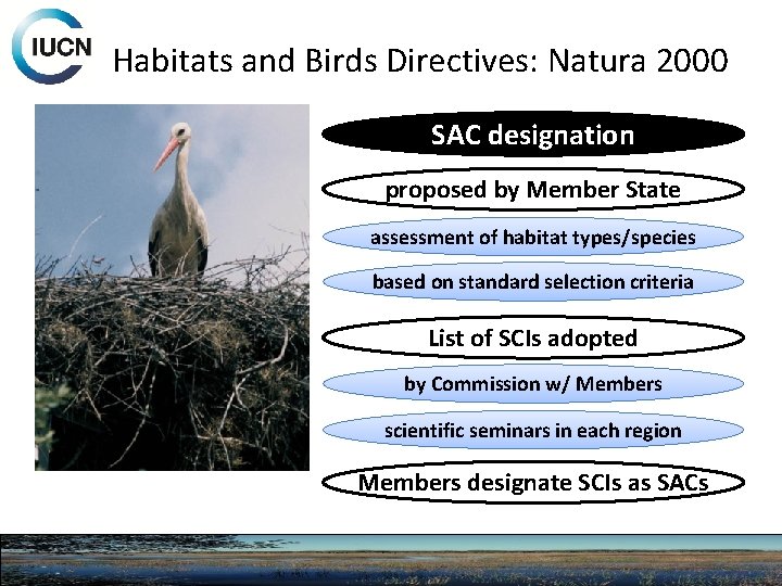 Habitats and Birds Directives: Natura 2000 SAC designation proposed by Member State assessment of