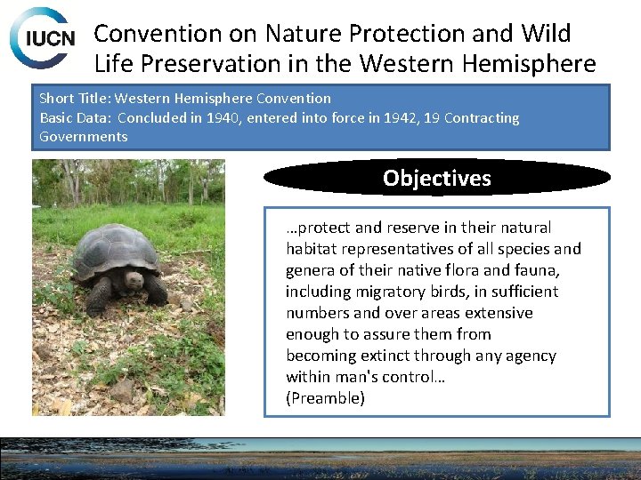 Convention on Nature Protection and Wild Life Preservation in the Western Hemisphere Short Title: