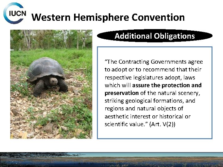 Western Hemisphere Convention Additional Obligations “The Contracting Governments agree to adopt or to recommend