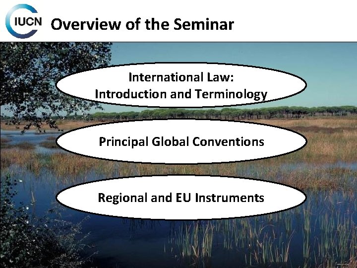 Overview of the Seminar International Law: Introduction and Terminology Principal Global Conventions Regional and