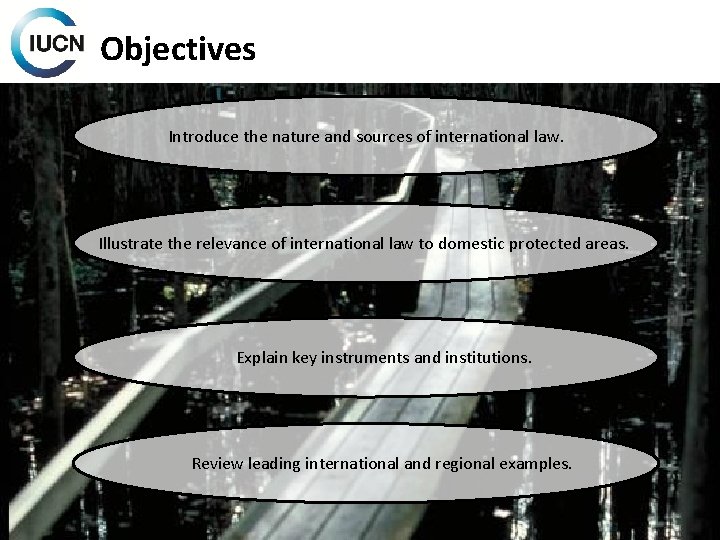 Objectives Introduce the nature and sources of international law. Illustrate the relevance of international