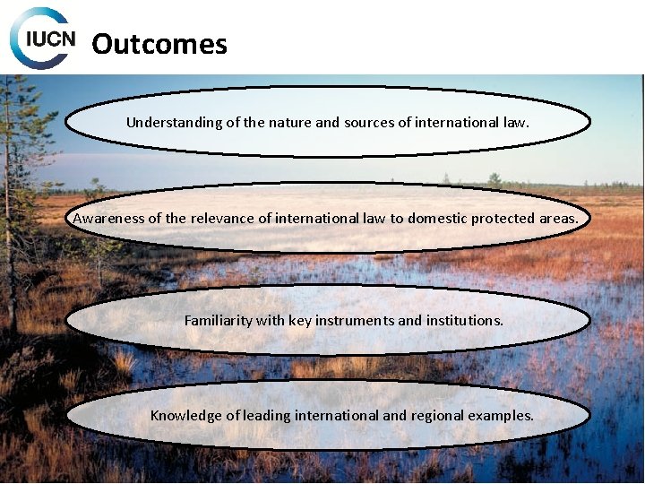 Outcomes Understanding of the nature and sources of international law. Awareness of the relevance