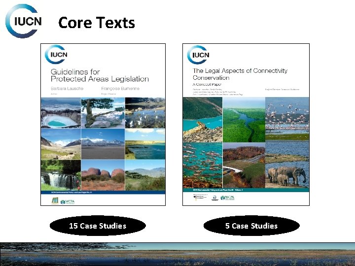 Core Texts 15 Case Studies 