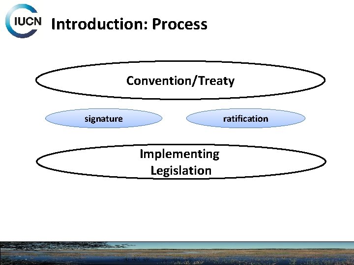 Introduction: Process Convention/Treaty ratification signature Implementing Legislation 