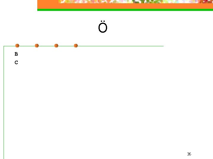 Ö B C 36 