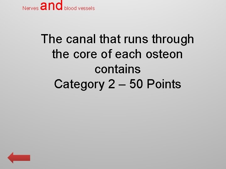 Nerves and blood vessels The canal that runs through the core of each osteon