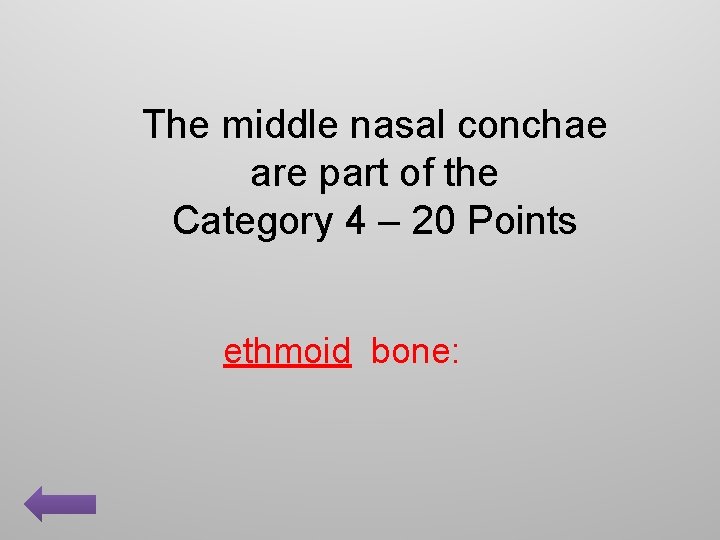 The middle nasal conchae are part of the Category 4 – 20 Points ethmoid