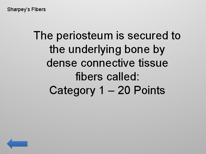 Sharpey’s Fibers The periosteum is secured to the underlying bone by dense connective tissue