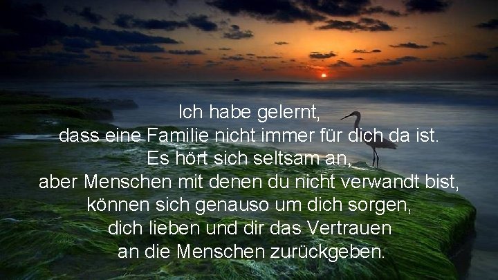 Ich habe gelernt, dass eine Familie nicht immer für dich da ist. Es hört