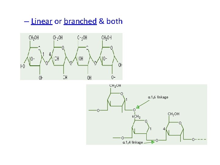 – Linear or branched & both 