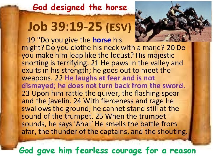 God designed the horse Job 39: 19 -25 (ESV) 19 "Do you give the