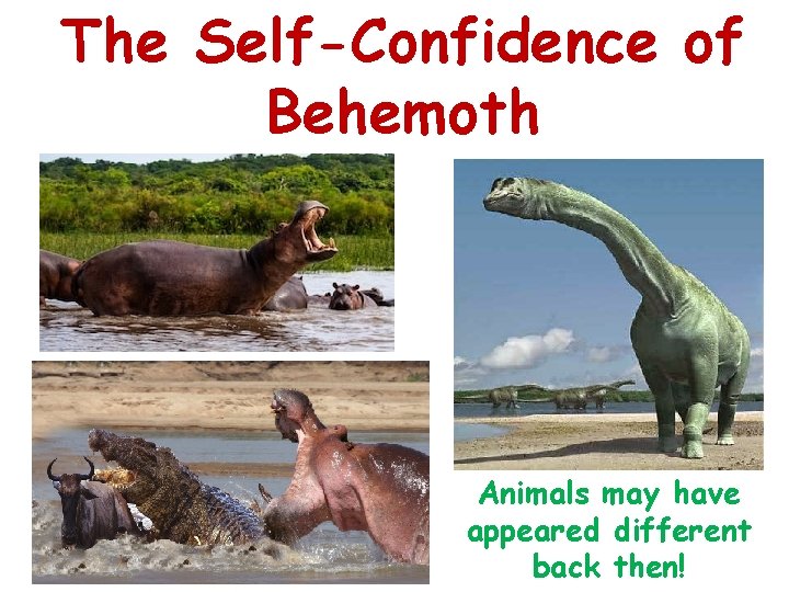 The Self-Confidence of Behemoth Animals may have appeared different back then! 