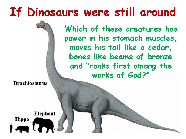 If Dinosaurs were still around Which of these creatures has power in his stomach