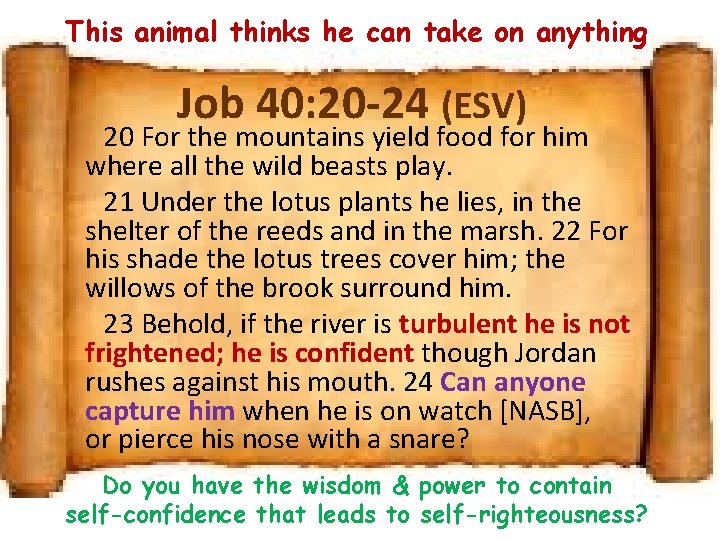 This animal thinks he can take on anything Job 40: 20 -24 (ESV) 20