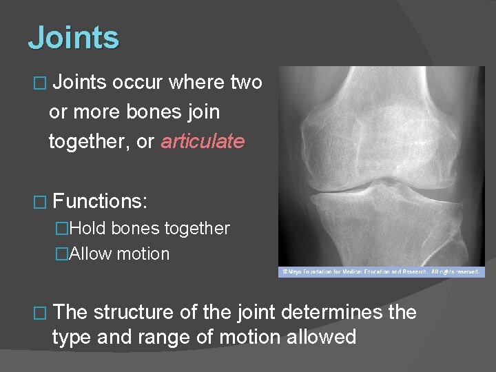 Joints � Joints occur where two or more bones join together, or articulate �