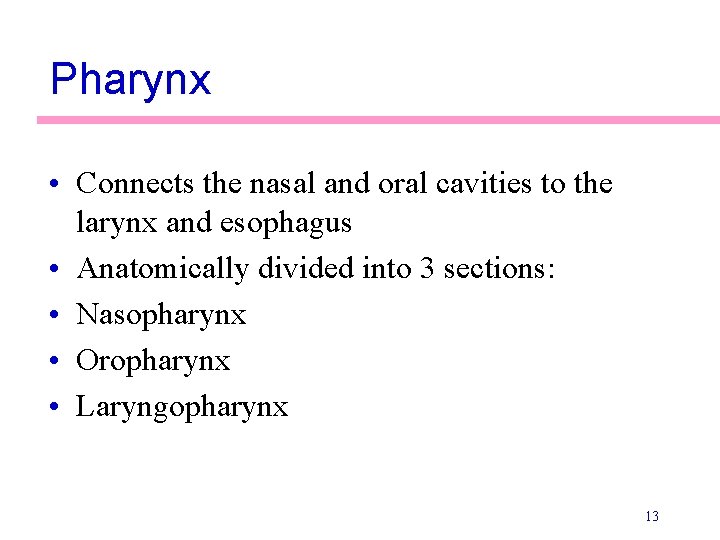 Pharynx • Connects the nasal and oral cavities to the larynx and esophagus •