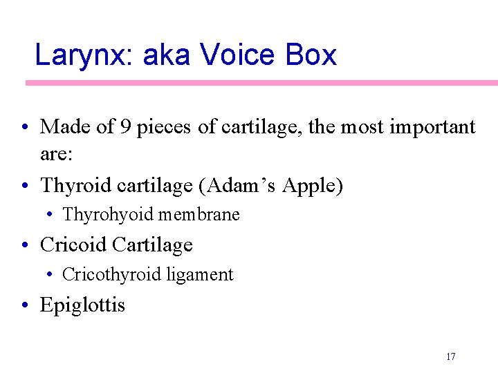 Larynx: aka Voice Box • Made of 9 pieces of cartilage, the most important