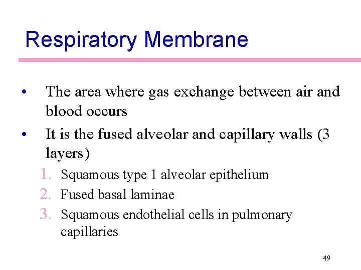 Respiratory Membrane • The area where gas exchange between air and blood occurs •