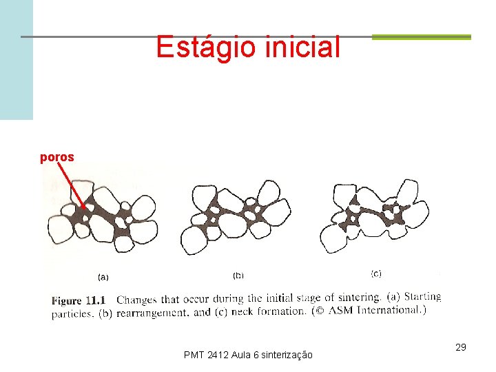 Estágio inicial poros PMT 2412 Aula 6 sinterização 29 