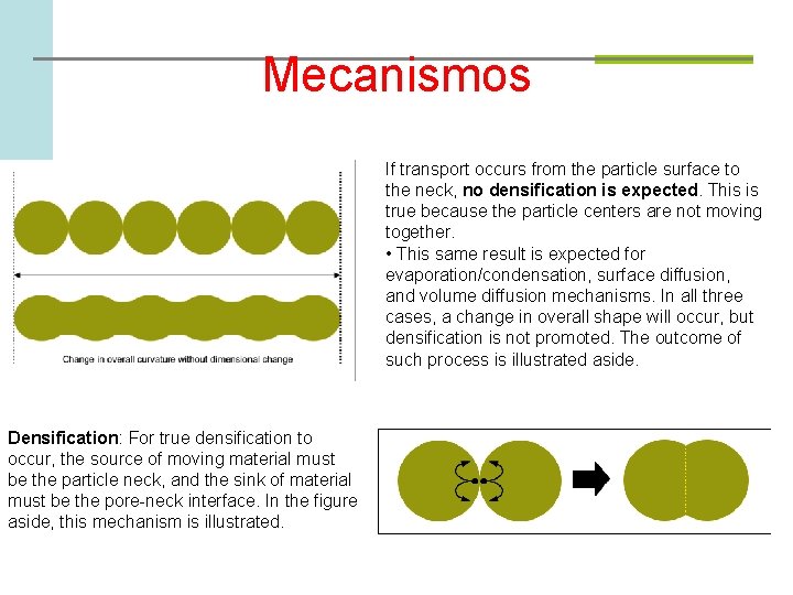 Mecanismos If transport occurs from the particle surface to the neck, no densification is