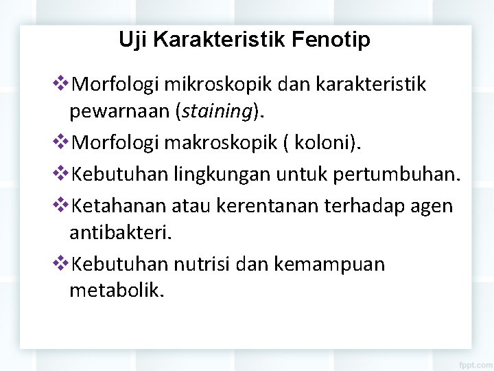 Uji Karakteristik Fenotip Morfologi mikroskopik dan karakteristik pewarnaan (staining). Morfologi makroskopik ( koloni). Kebutuhan