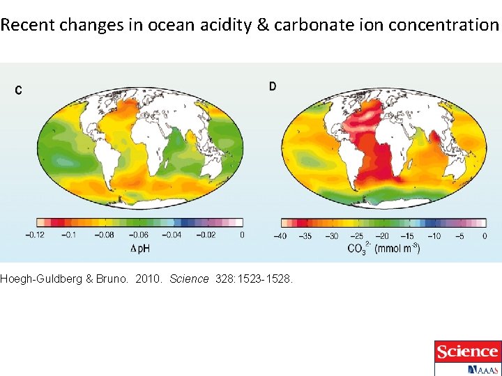 Recent changes in ocean acidity & carbonate ion concentration Hoegh-Guldberg & Bruno. 2010. Science