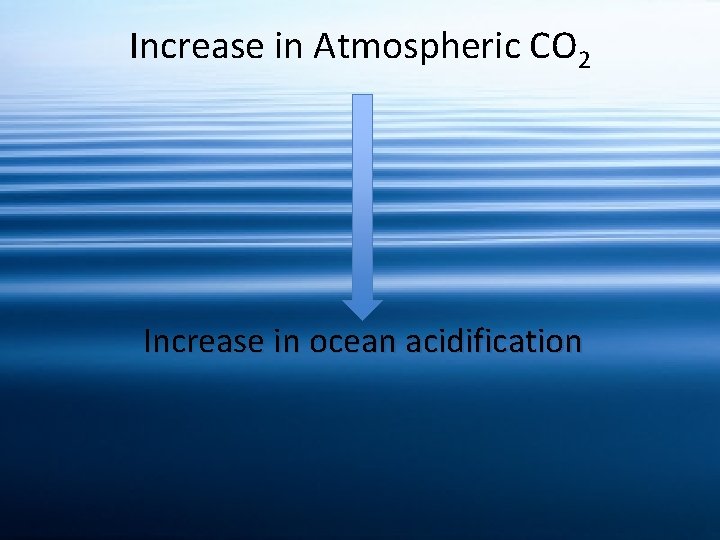 Increase in Atmospheric CO 2 Increase in ocean acidification 