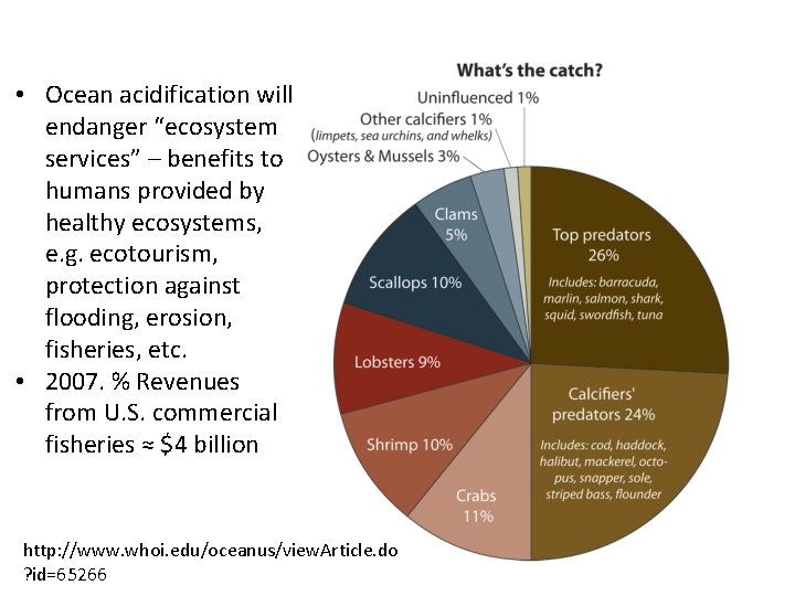  • Ocean acidification will endanger “ecosystem services” – benefits to humans provided by