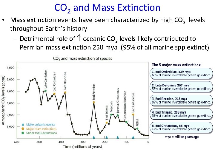 CO 2 and Mass Extinction • Mass extinction events have been characterized by high