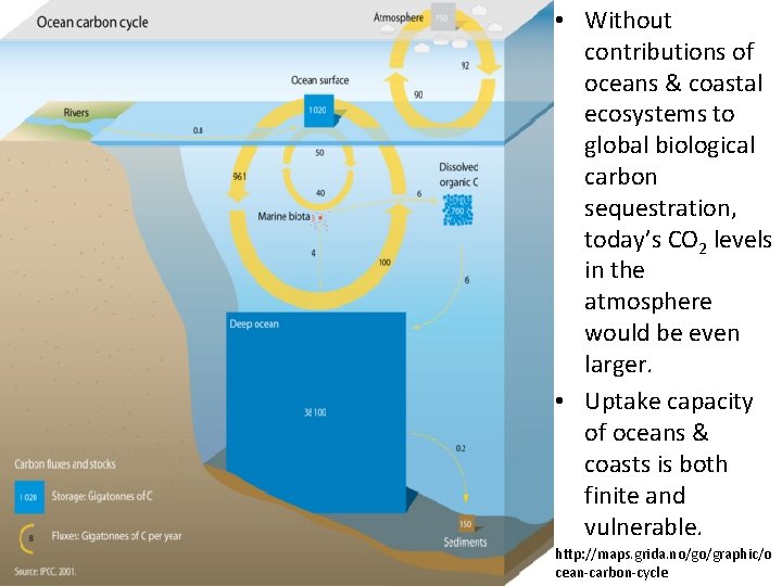  • Without contributions of oceans & coastal ecosystems to global biological carbon sequestration,