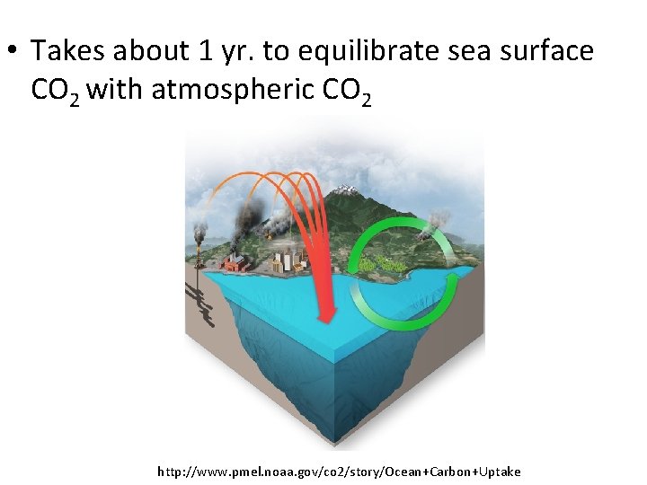  • Takes about 1 yr. to equilibrate sea surface CO 2 with atmospheric