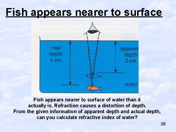 Fish appears nearer to surface of water than it actually is. Refraction causes a