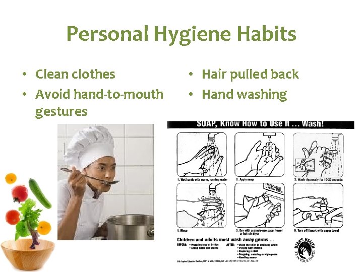 Personal Hygiene Habits • Clean clothes • Avoid hand-to-mouth gestures • Hair pulled back