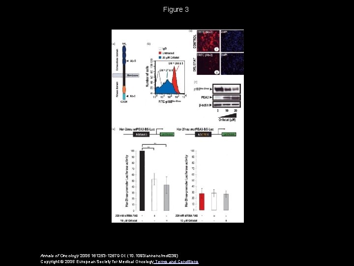 Figure 3 Annals of Oncology 2005 161253 -1267 DOI: (10. 1093/annonc/mdi 239) Copyright ©