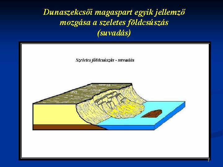 Dunaszekcsői magaspart egyik jellemző mozgása a szeletes földcsúszás (suvadás) 7 