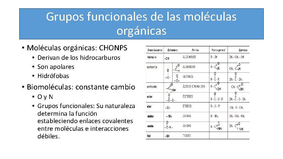 Grupos funcionales de las moléculas orgánicas • Moléculas orgánicas: CHONPS • Derivan de los