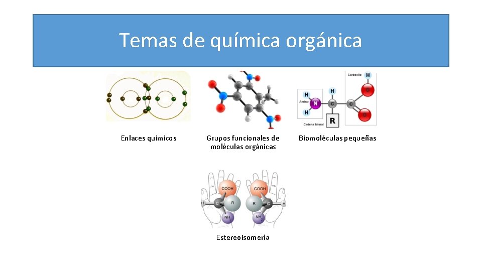Temas de química orgánica Enlaces químicos Grupos funcionales de moléculas orgánicas Estereoisomería Biomoléculas pequeñas