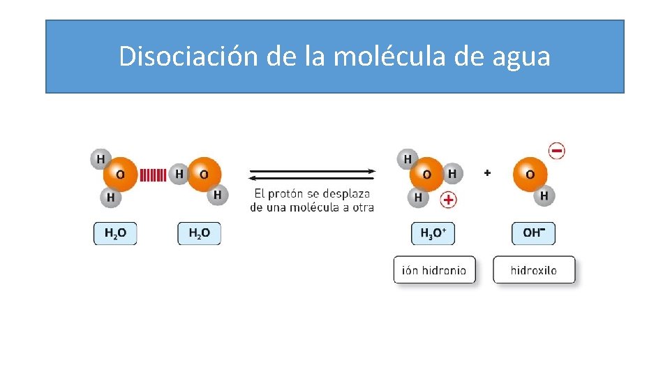 Disociacion De La Molecula De Agua