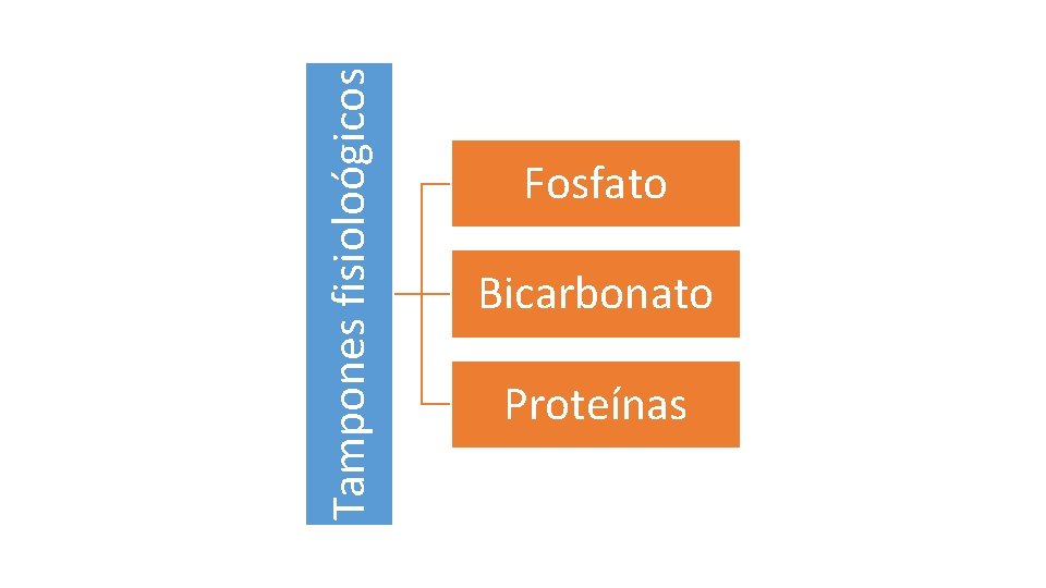 Tampones fisioloógicos Fosfato Bicarbonato Proteínas 