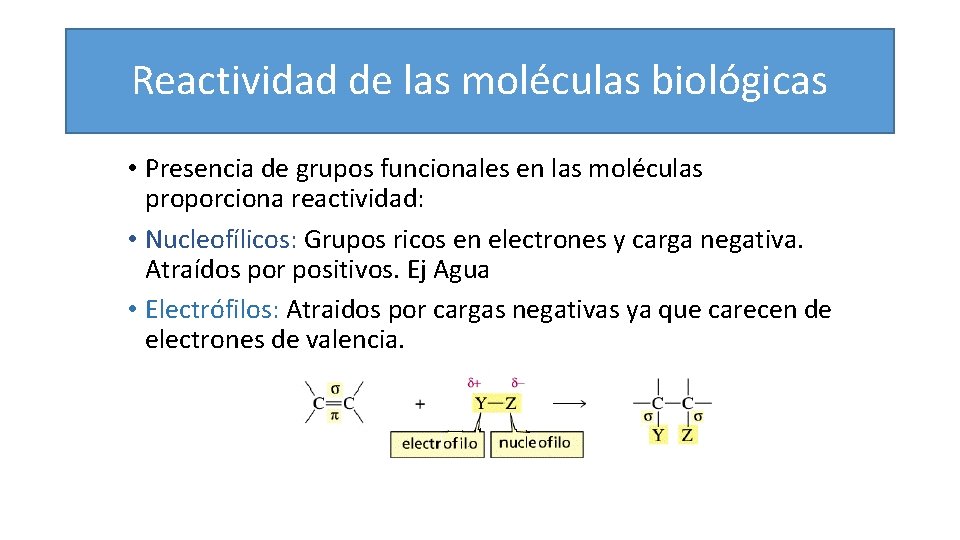 Reactividad de las moléculas biológicas • Presencia de grupos funcionales en las moléculas proporciona