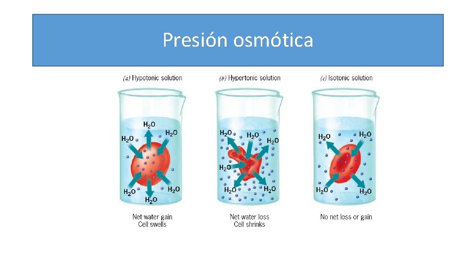 Presión osmótica 