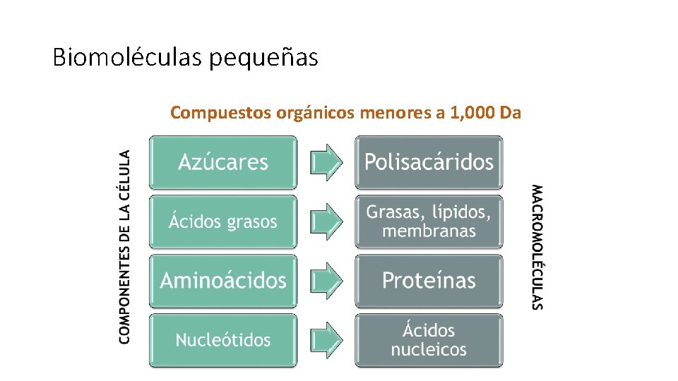 Biomoléculas pequeñas Compuestos orgánicos menores a 1, 000 Da 