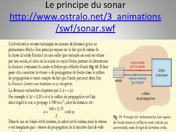 Le principe du sonar http: //www. ostralo. net/3_animations /swf/sonar. swf 